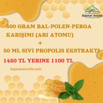 Bal*Polen-Perga Propolis Kampanyası